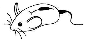 mouse